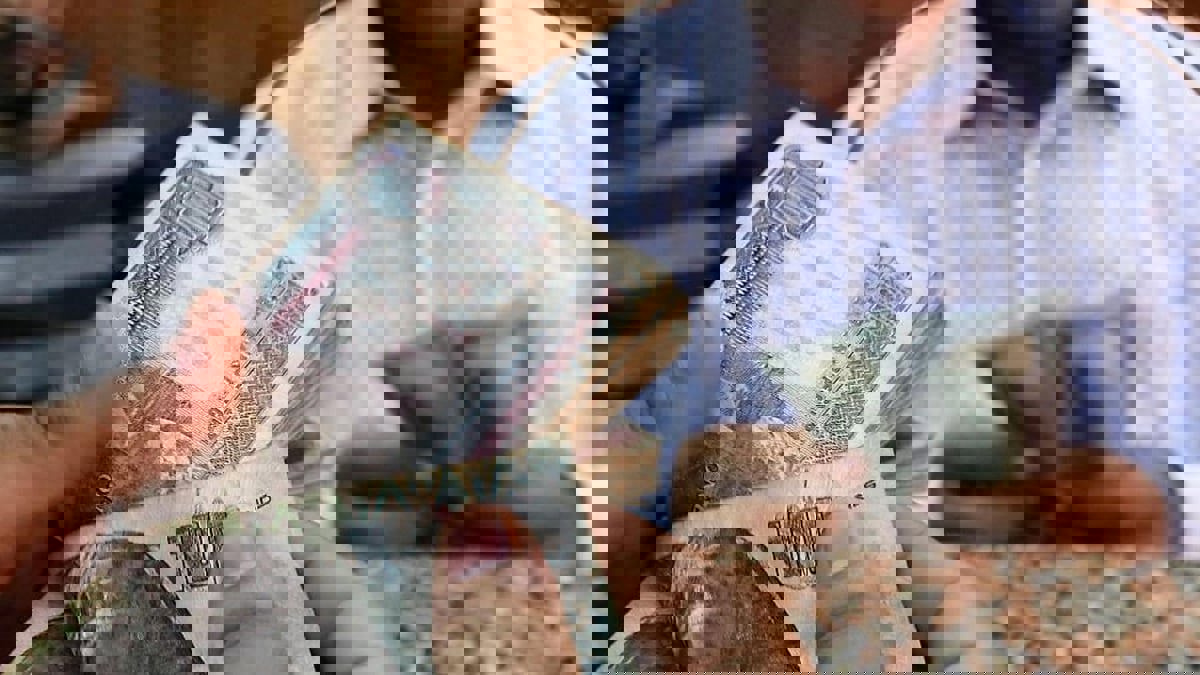 رويترز: بنوك مصرية تخفض حدود السحب بالدولار مع تزايد الضغط على الجنيه
