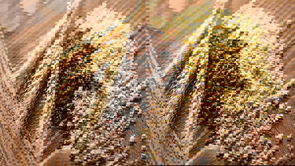 لماذا عليك تناول الحبوب الكاملة باستمرار؟