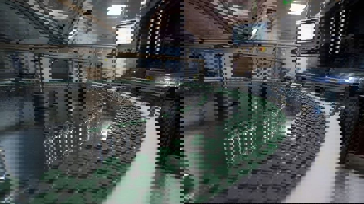 بعد كوفيد.. الهند تسعى لإنتاج لقاحات الملاريا وحمى الضنك