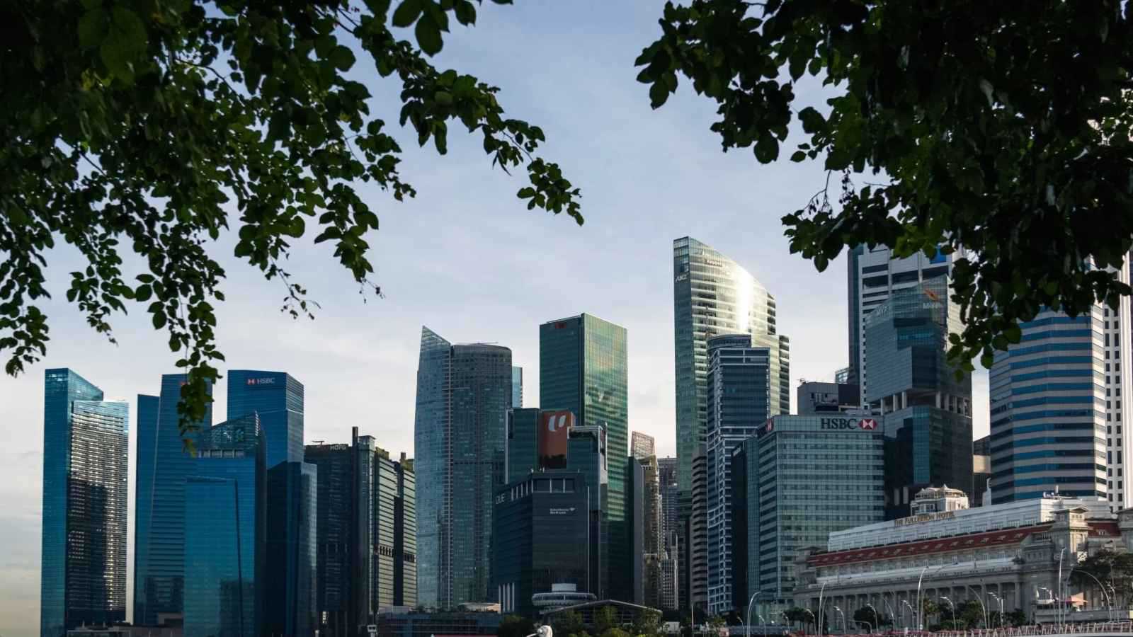 شراكة على مفترق طرق التجارة.. أفريقيا تتحول إلى محرك لازدهار سنغافورة