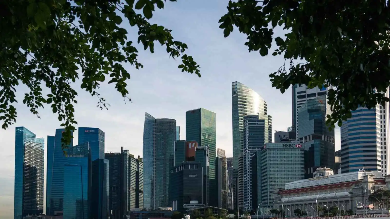 شراكة على مفترق طرق التجارة.. أفريقيا تتحول إلى محرك لازدهار سنغافورة