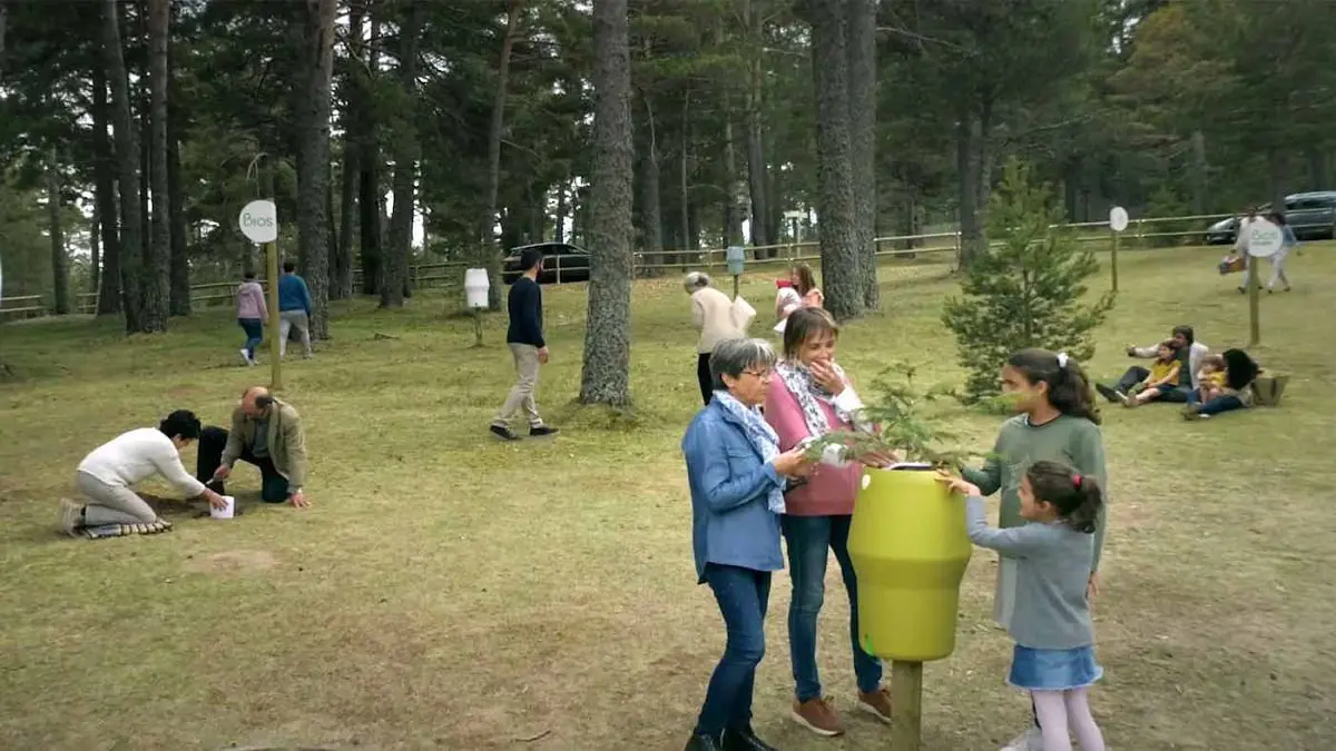 كندا تنشئ أول حديقة في العالم تتم زراعة أشجارها بأعضاء بشرية (صور)