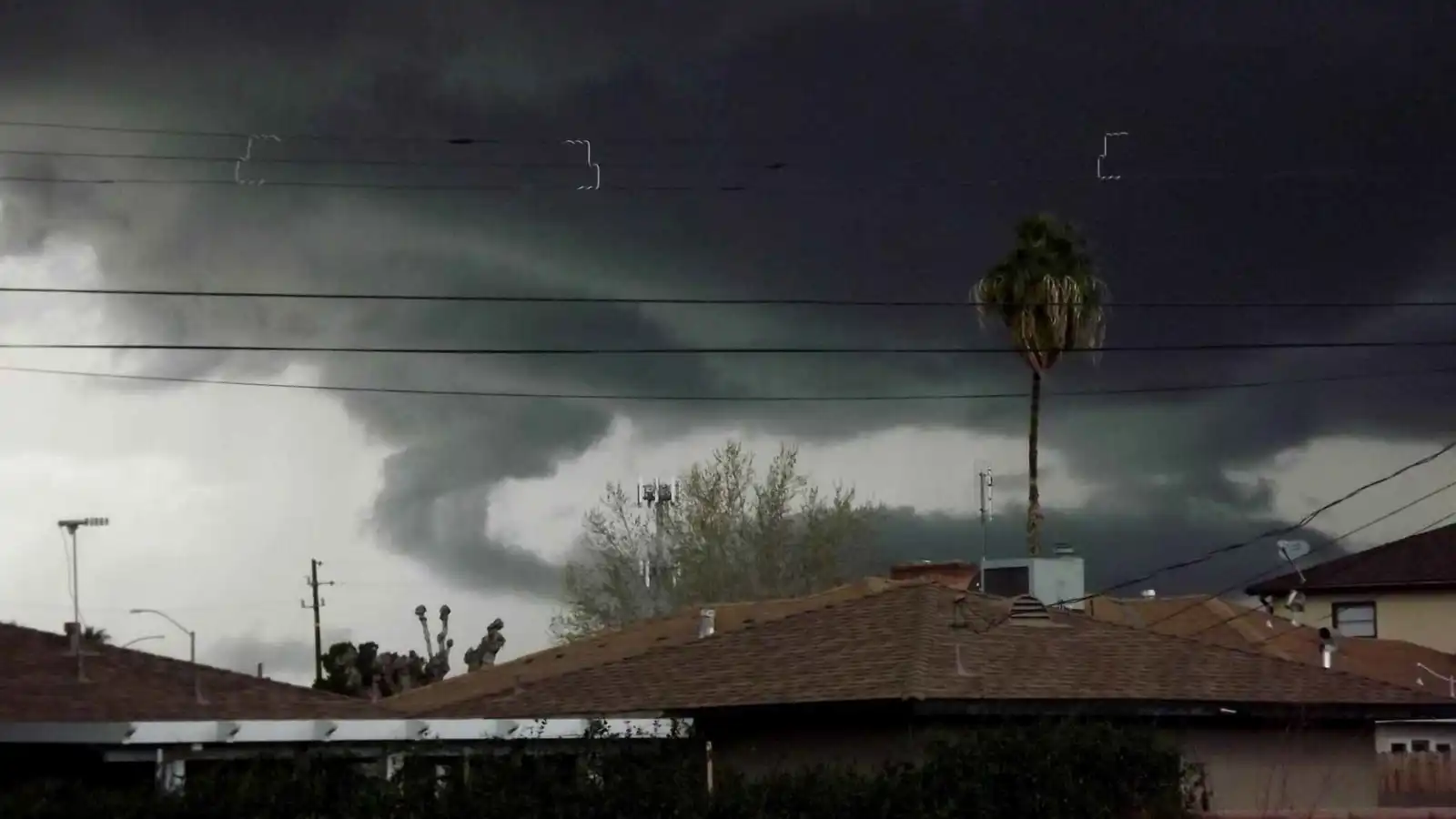 بطل الجروف الصخرية.. دفع حياته ثمناً لإنقاذ أصدقائه من الموت (فيديو إرم)