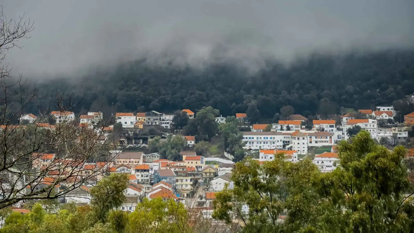عين دراهم التونسية.. "جوهرة الخضراء" وجهة السياح في الشتاء