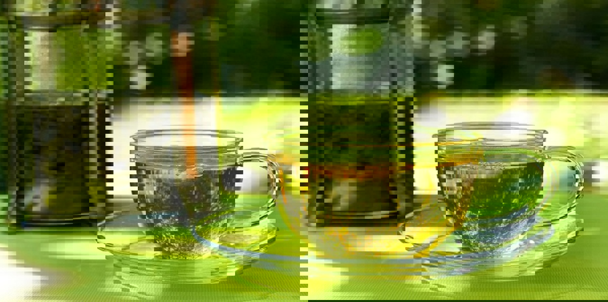 أطباء يحذّرون من الشاي الأخضر