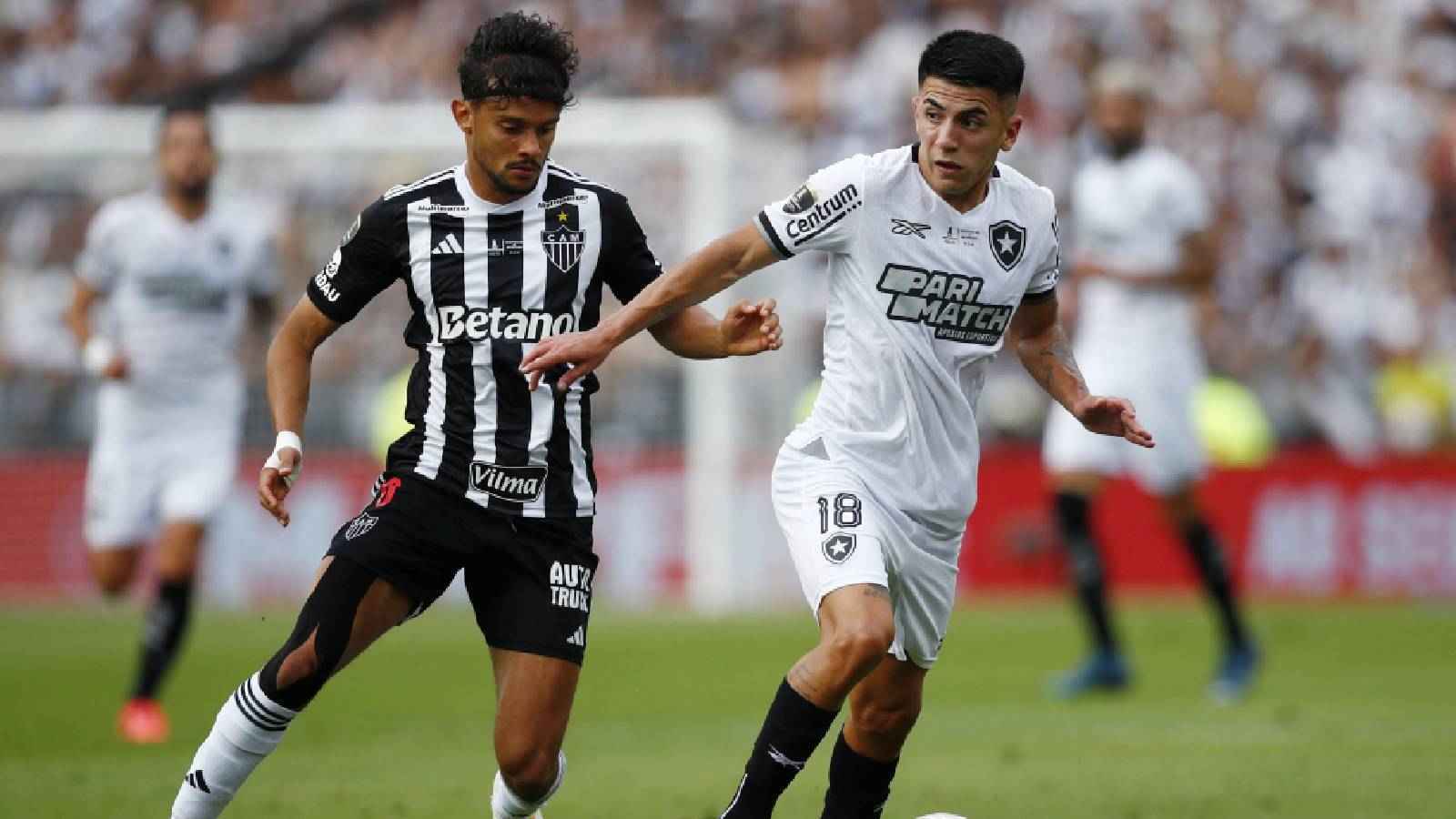 بوتافوغو البرازيلي بطلًا لـ"كوبا ليبرتادوريس"