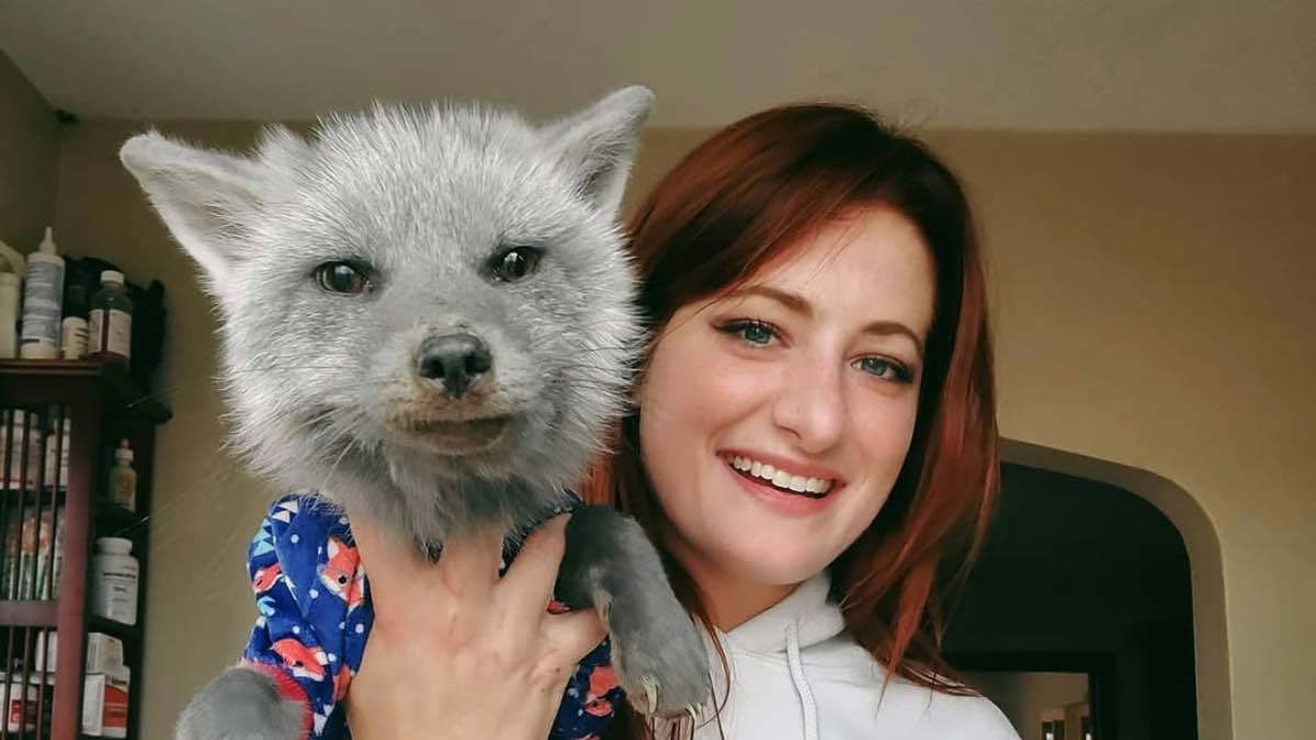 بسبب التنمر الإلكتروني.. انتحار المؤثرة ميكايلا راينز عن 29 عاما