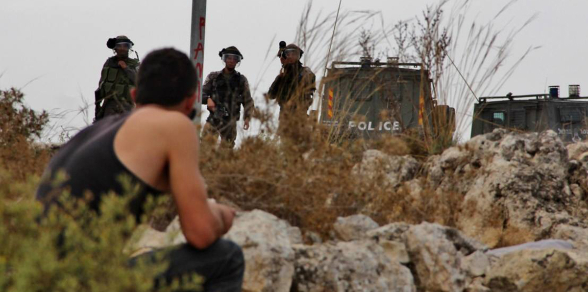 الاحتلال الإسرائيلي يعتقل شقيق عهد التميمي