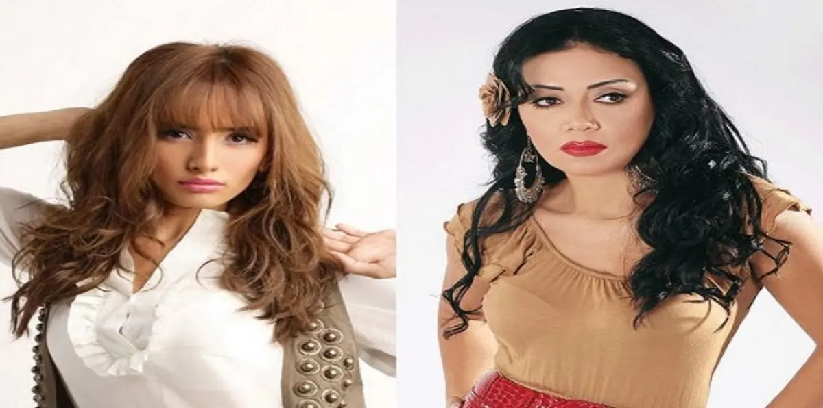 رانيا يوسف: زينة ليس لديها بصمة فنية