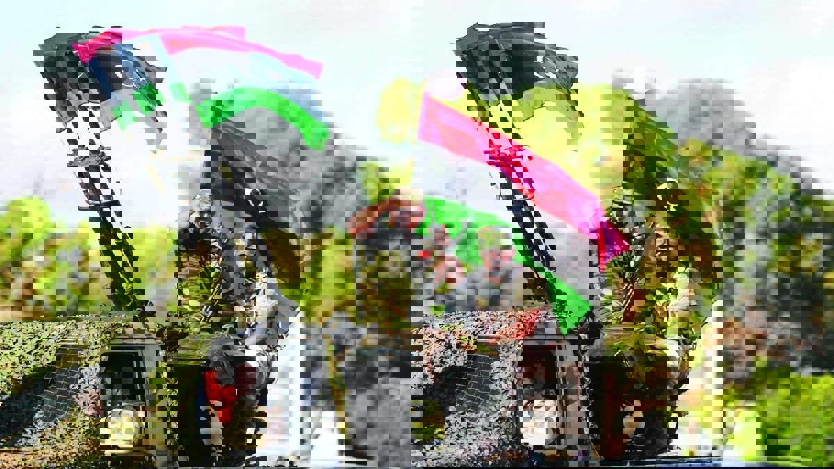 هل ينجح إعلان "وقف إطلاق النار الشامل" في التمهيد لحل سياسي في ليبيا؟ (فيديو )