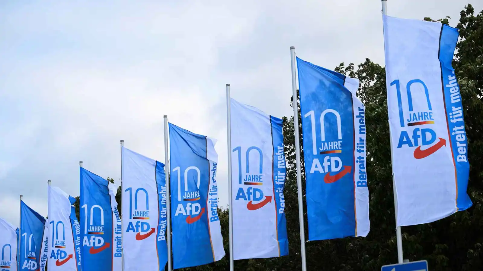 "تطهير عرقي وشعارات نازية".. حزب "البديل" على أعتاب قصر المستشارية ببرلين