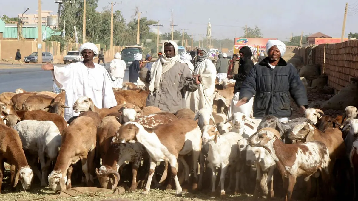 الأوضاع الاقتصادية تدفع أسرا سودانية للعزوف عن الأضحية