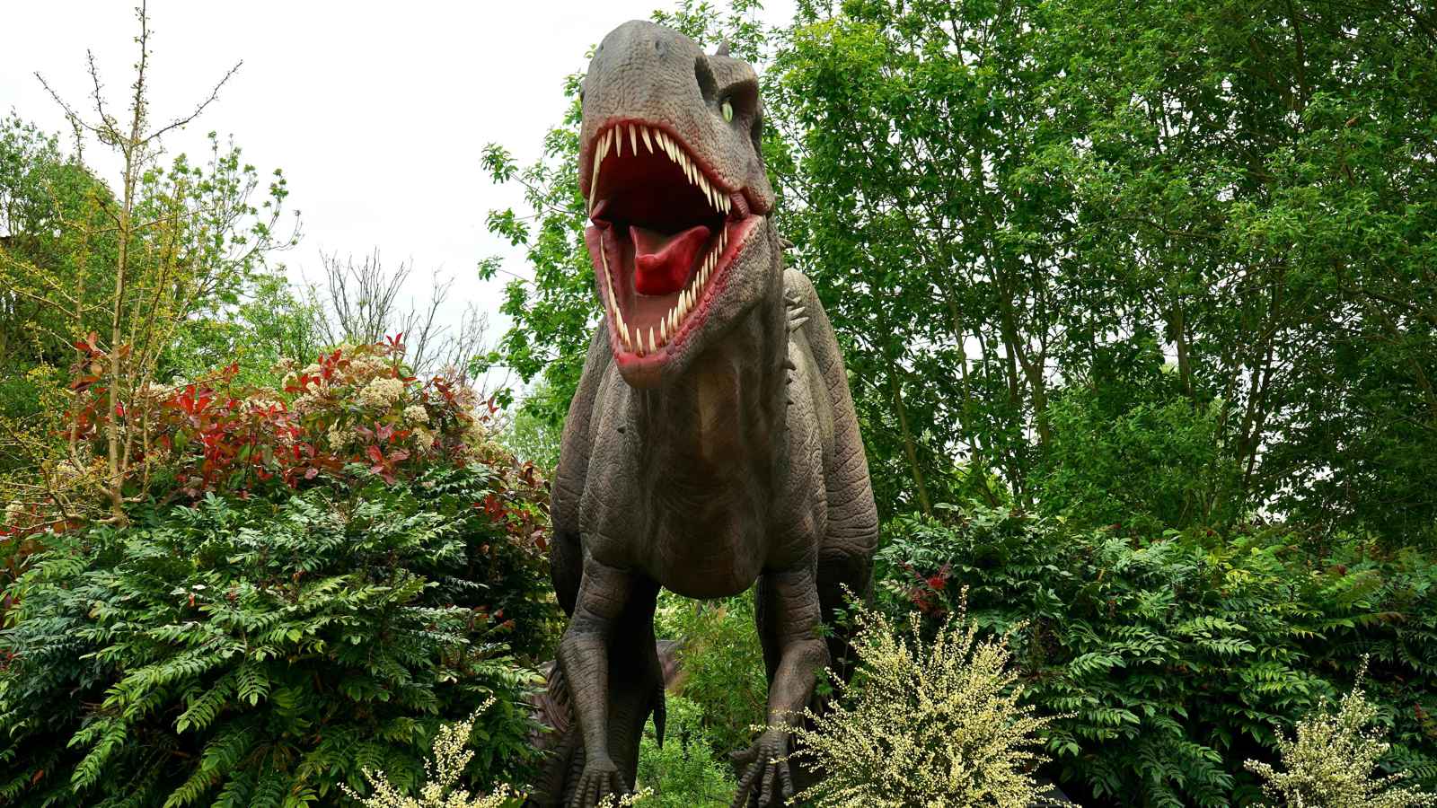 هل تحمل حفريات الديناصورات مفتاحا لعلاج السرطان؟