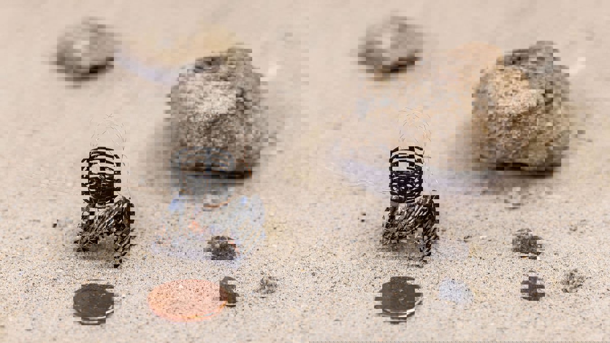 تقنية طباعة ثلاثية الأبعاد جديدة لصنع روبوتات خارقة