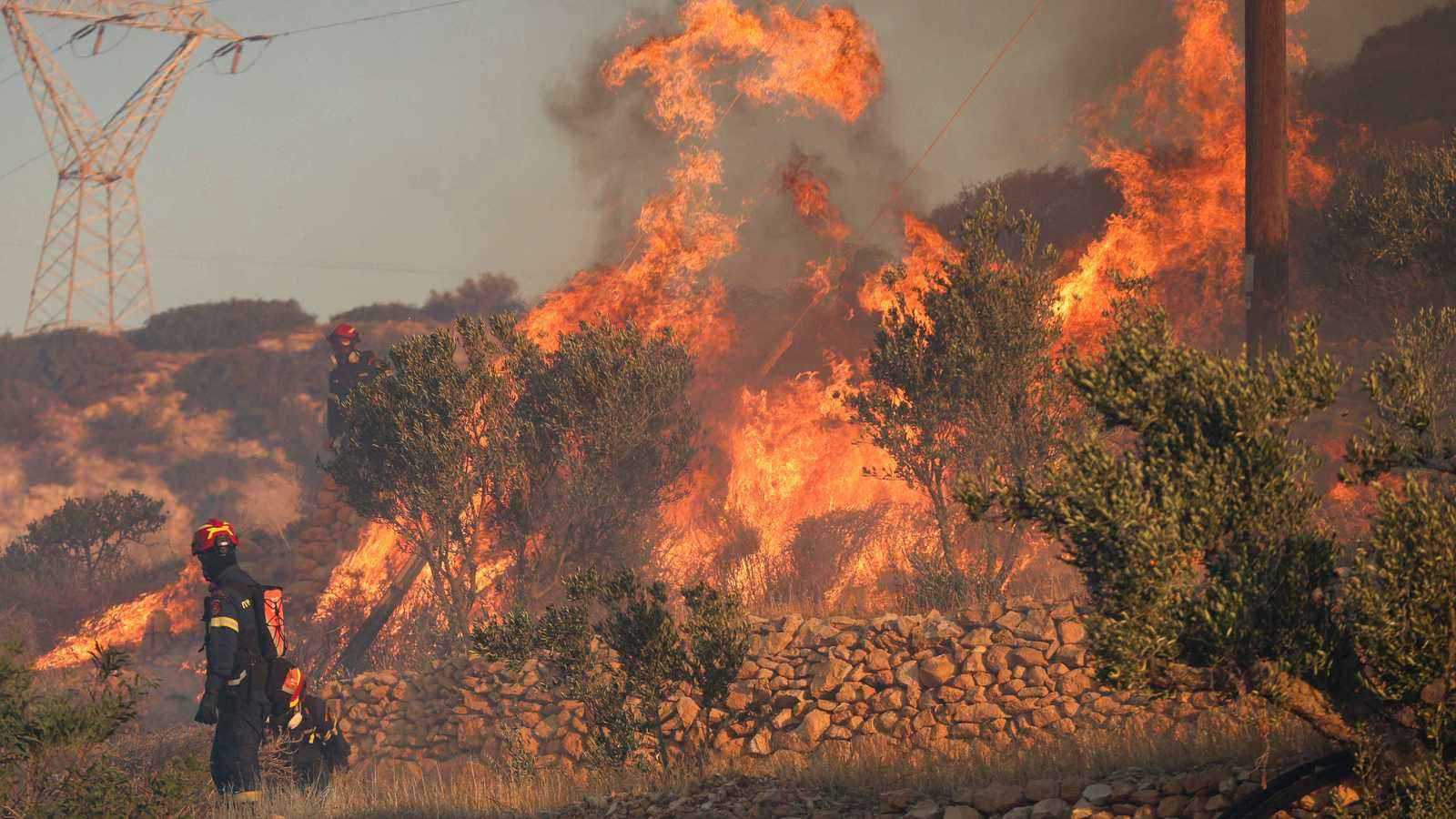 تقرير أممي: حرائق غير مسبوقة تهدد قدرة الغابات على امتصاص الكربون