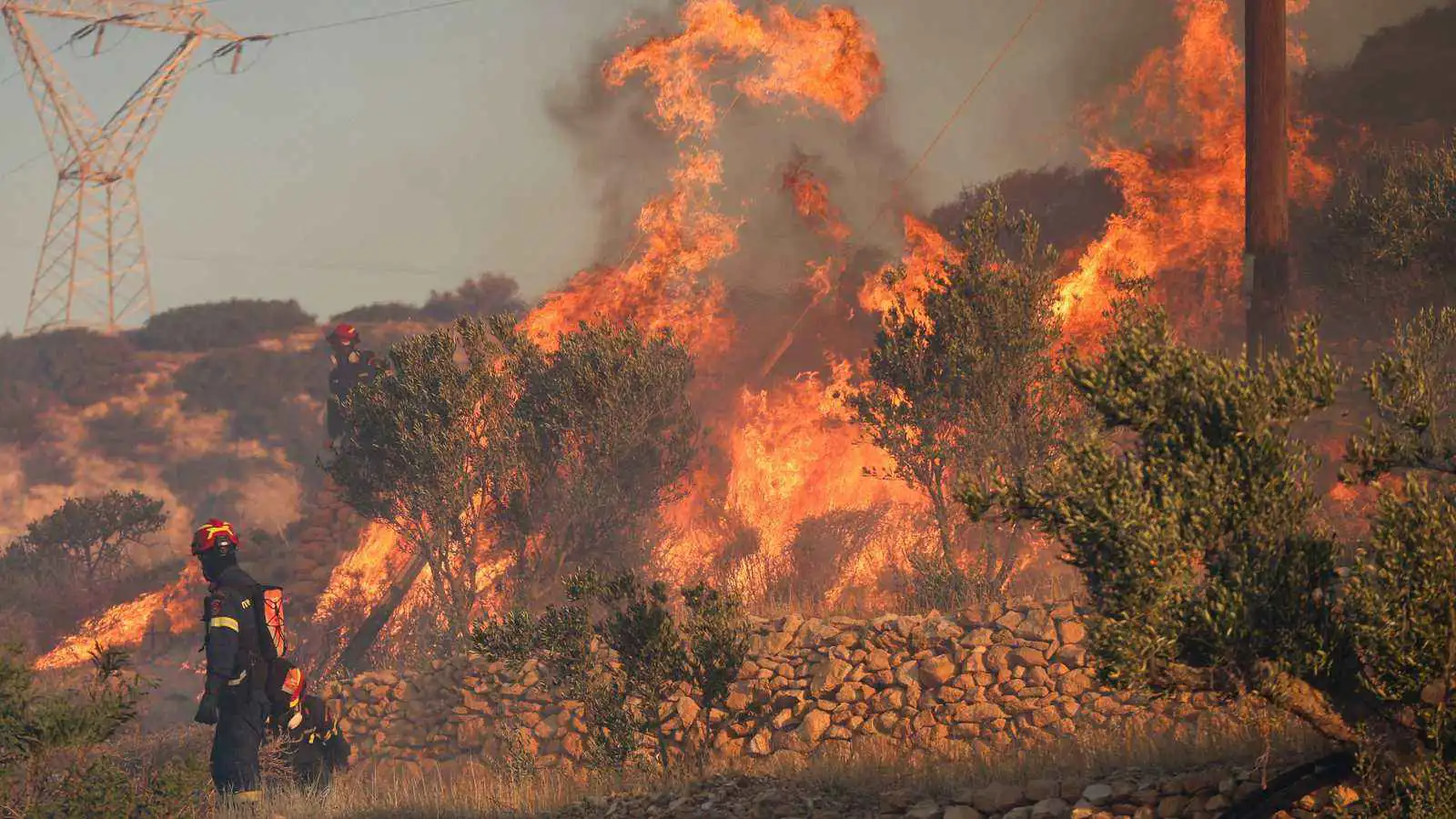 تقرير أممي: حرائق غير مسبوقة تهدد قدرة الغابات على امتصاص الكربون