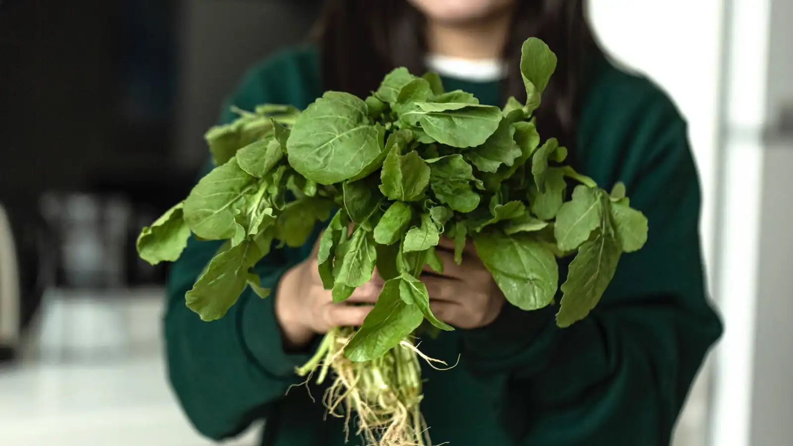 الجرجير يتصدر قائمة الخضروات الأكثر صحة