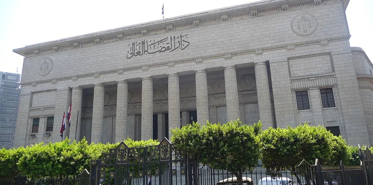 أسماء "كرتونية" للإرهابيين في مصر (فيديو)