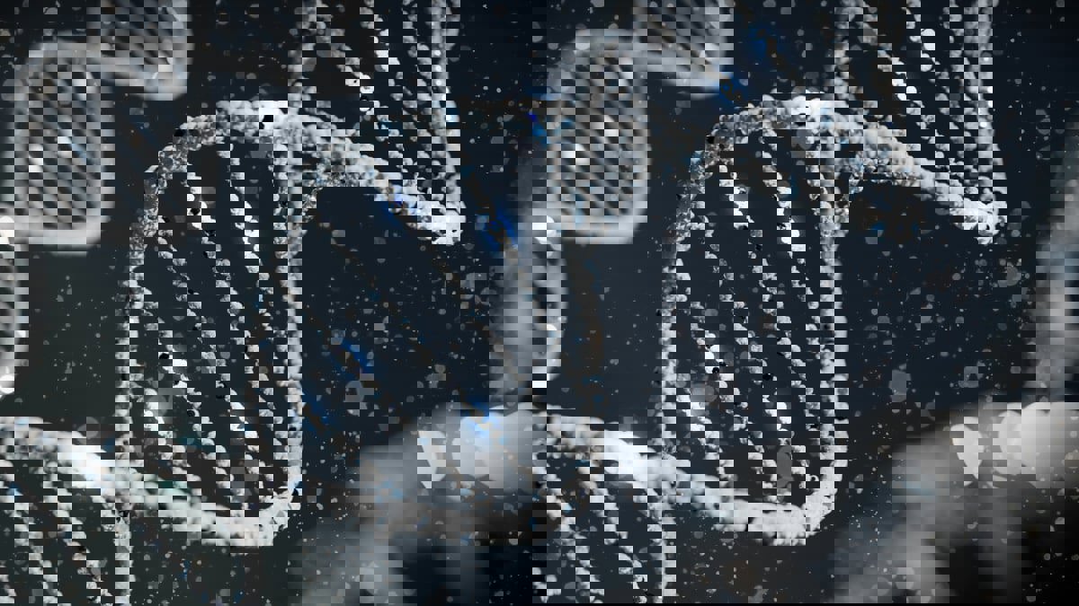 الذكاء الاصطناعي يحسّن تشخيص الاضطرابات الوراثية النادرة