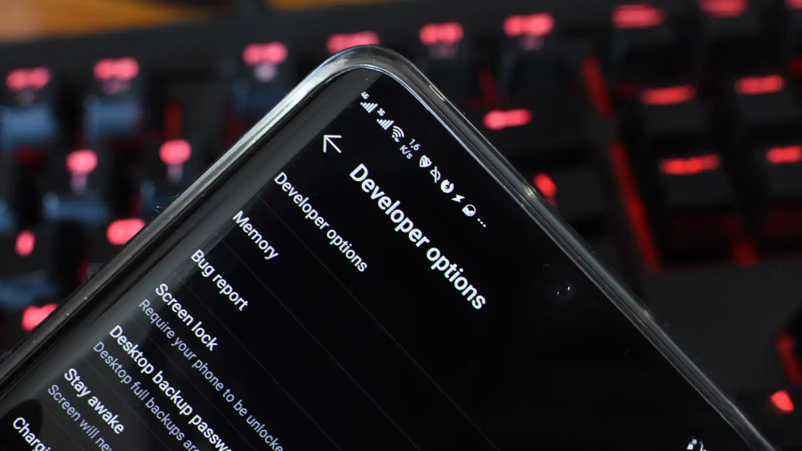 خيارات المطور