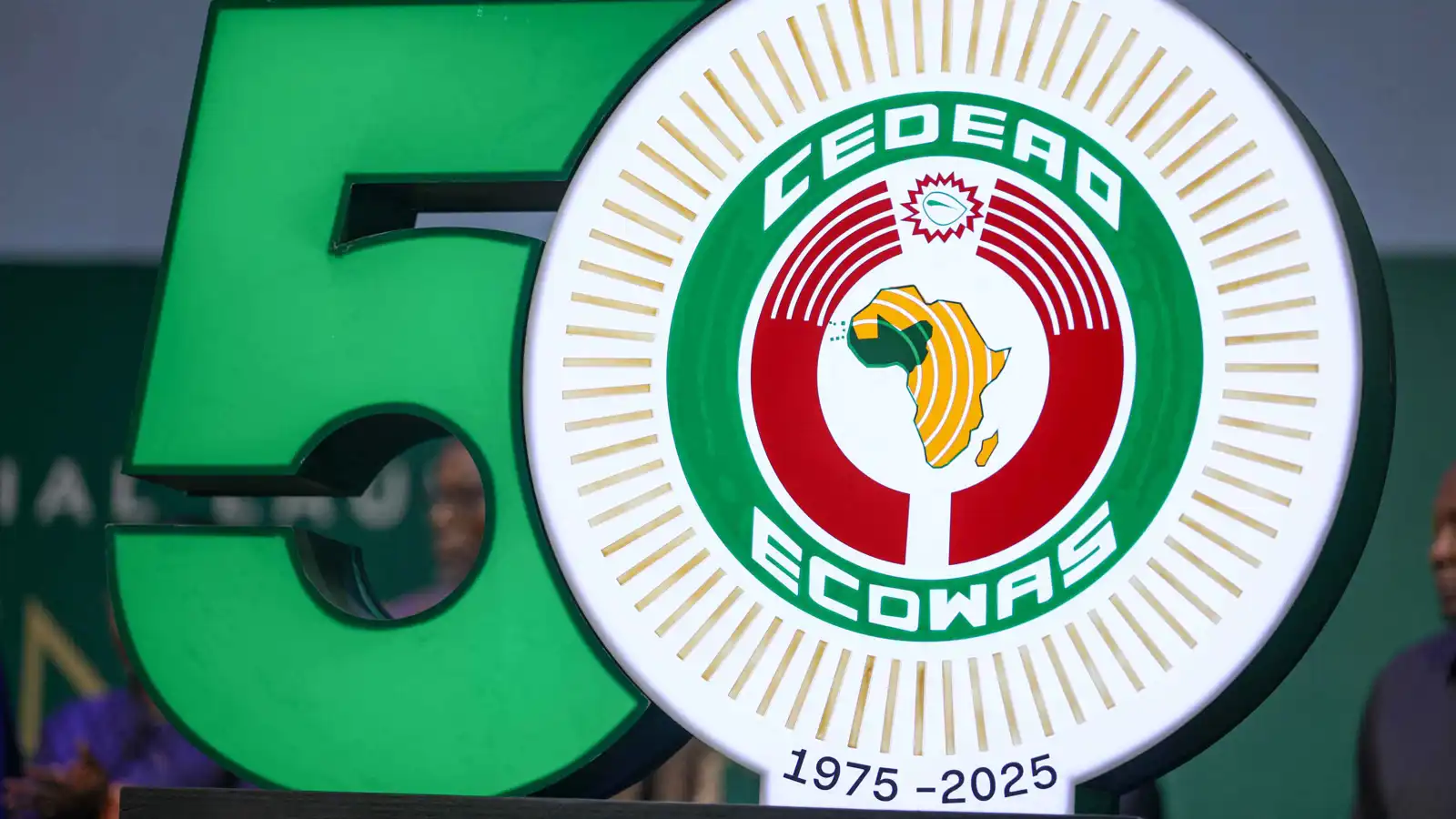 قوامه 260 ألف جندي.. "إيكواس" تخطط لإطلاق "جيش إقليمي" لمحاربة الإرهاب