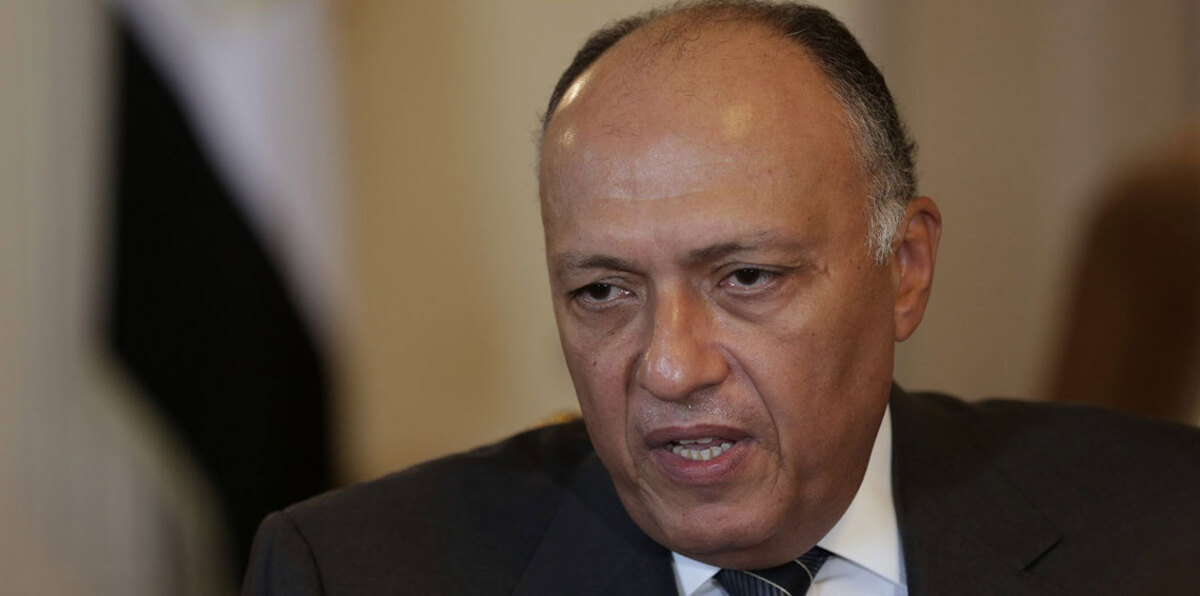 وزير الخارجية المصري يبحث مع نصر الحريري مستجدات الأزمة السورية