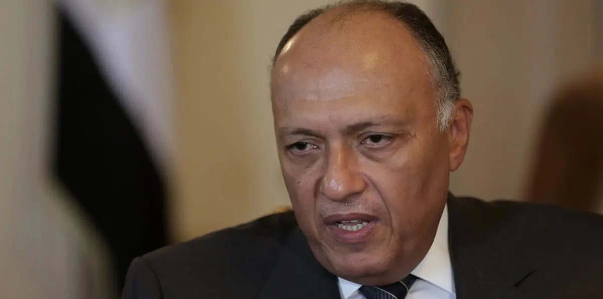 وزير الخارجية المصري يبحث مع نصر الحريري مستجدات الأزمة السورية