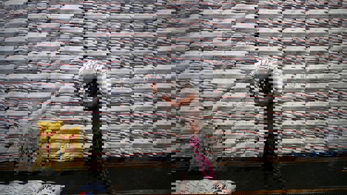 بسبب تغير المناخ ... ظهور دودة الحشد الخريفية في الفلبين