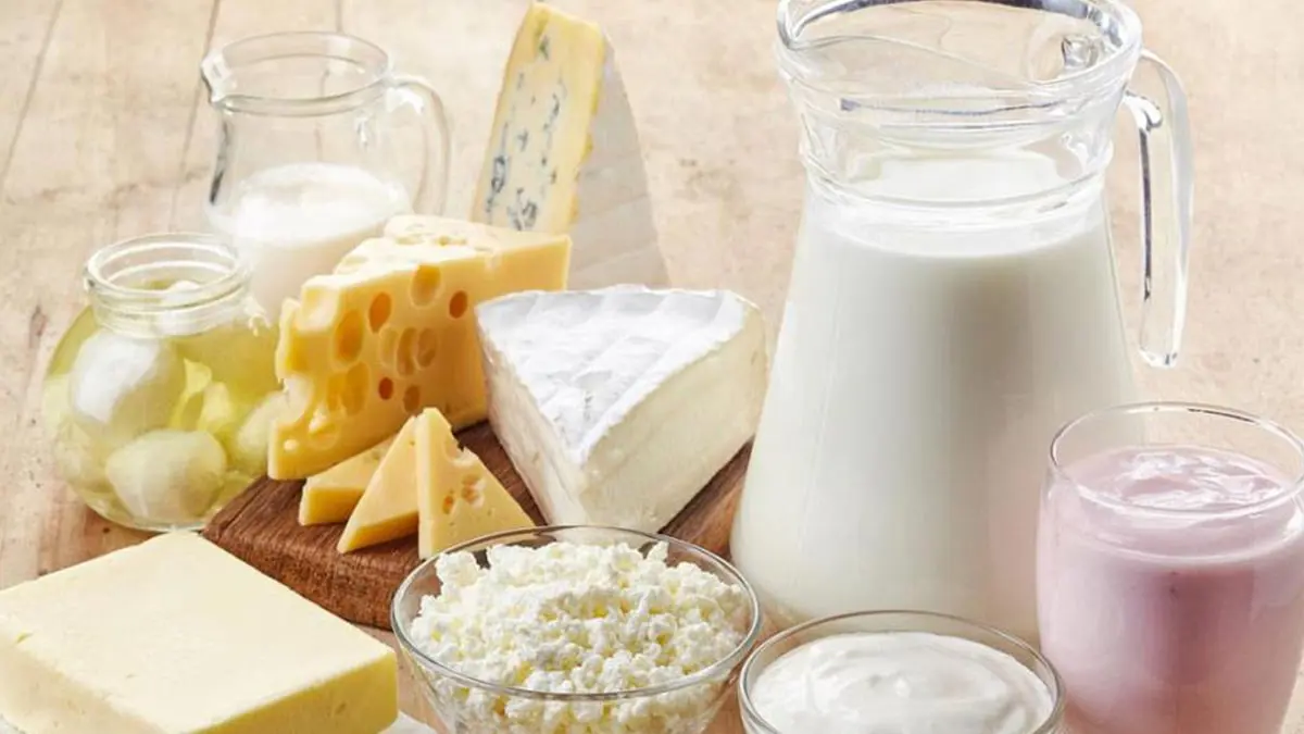منها الألبان.. 5 أطعمة تؤثر على الكوليسترول سلبًا