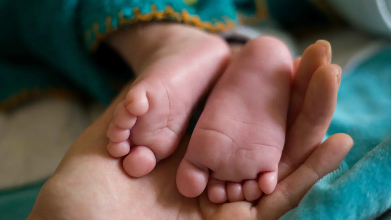 الأردن.. ما حقيقة إنجاب أم لـ7 توائم دفعة واحدة؟ (صورة)