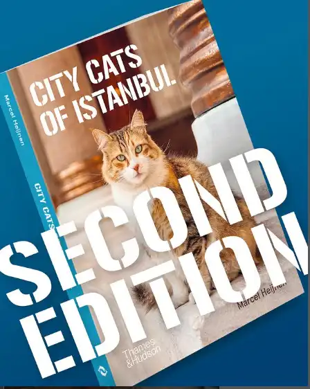 كتاب City Cats of Istanbul