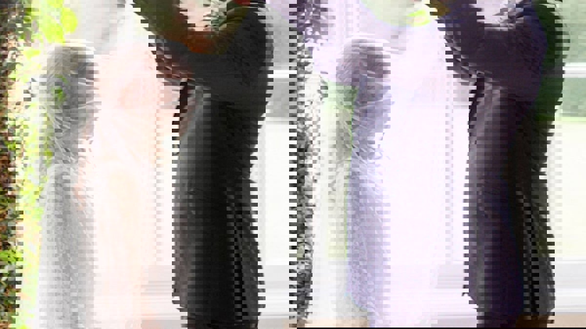 مصر.. القبض على والدي طفل وطفلة أعلنا خطوبتهما