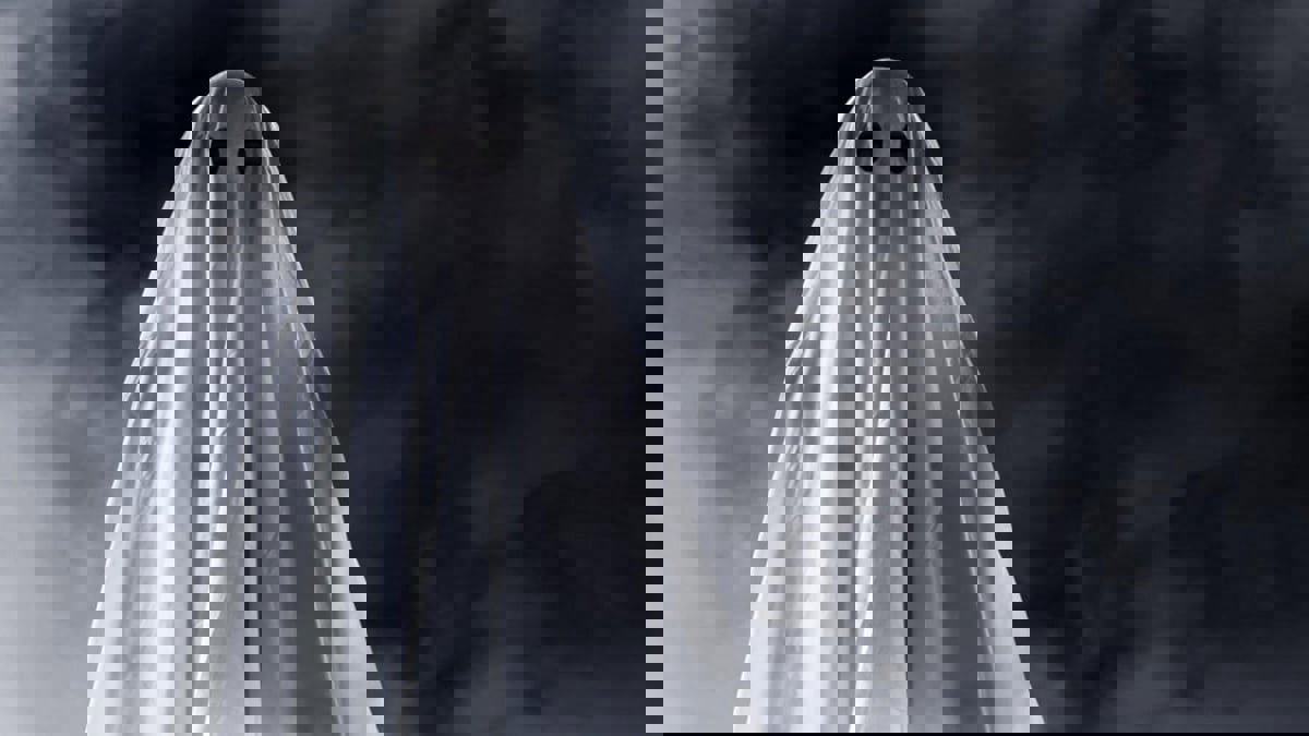 عائلة تصوّر جسما غامضا يتحرك في منزلها وتزعم أنه "شبح"