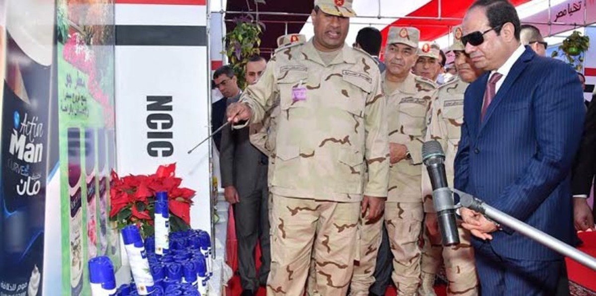 السيسي: الإعلام المصري يؤذيني