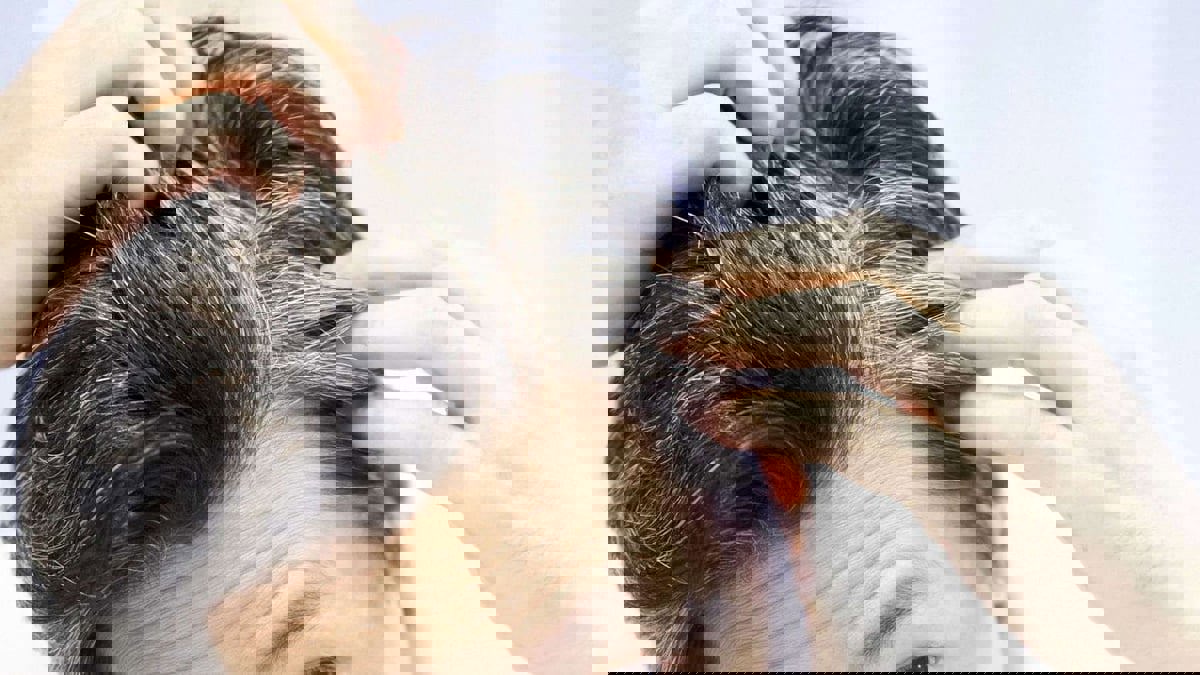 منها المكسرات.. أطعمة ومشروبات تسبب الشيب المبكر