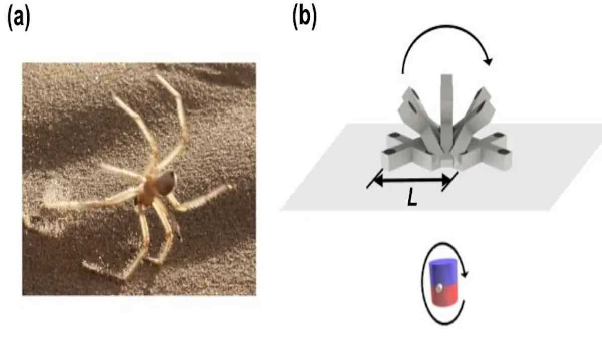 روبوت مُستوحى من العناكب لعلاج أمراض الجهاز الهضمي