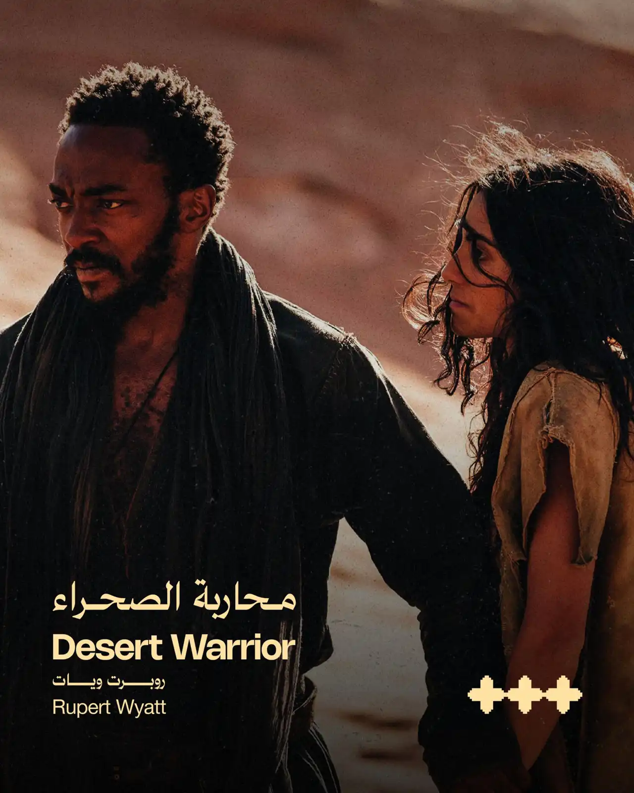 محاربة الصحراء