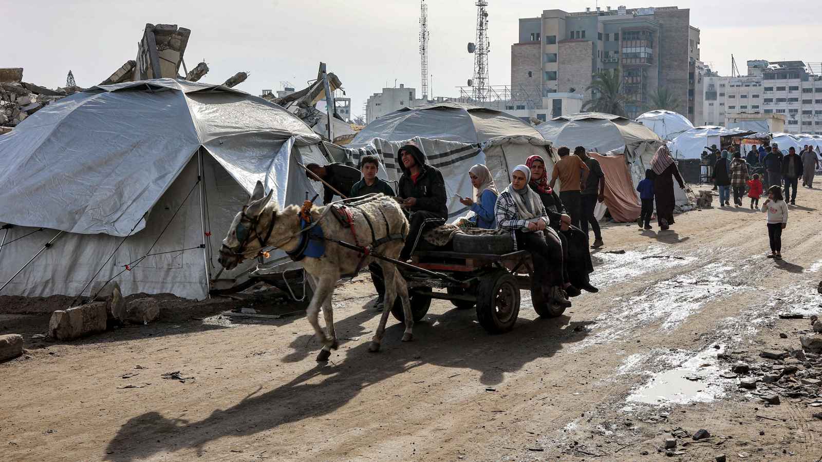 اتهامات للحكومة الأمريكية بالتخاذل في إنقاذ مواطنين من أصل فلسطيني