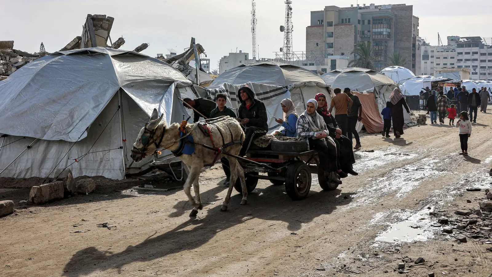 اتهامات للحكومة الأمريكية بالتخاذل في إنقاذ مواطنين من أصل فلسطيني