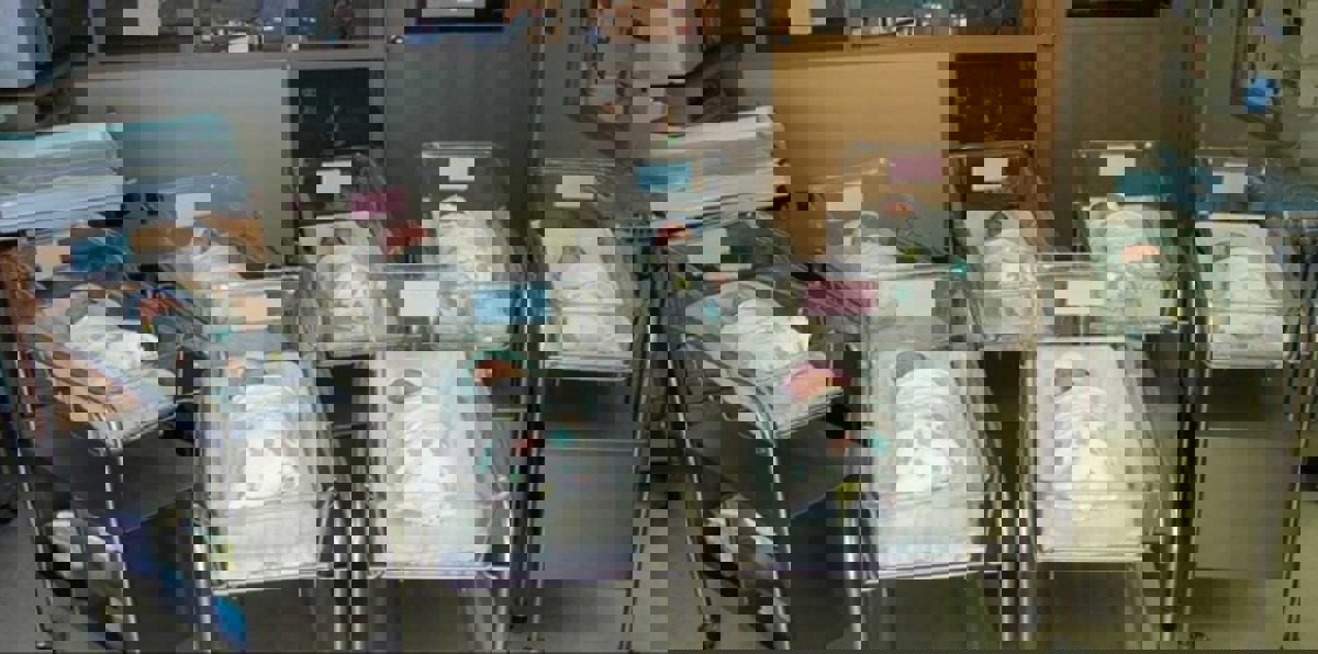 بريطانيا تقر تقنية إنجاب أطفال من "أب وأمّين" لعلاج مرض فتاك