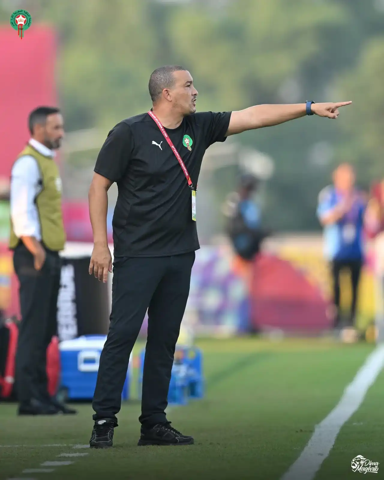 نبيل باها مدرب ناشئي المغرب