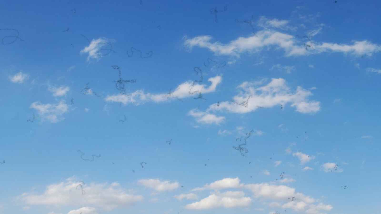 ما علاقة المكملات الغذائية بـ"عوائم العين"؟