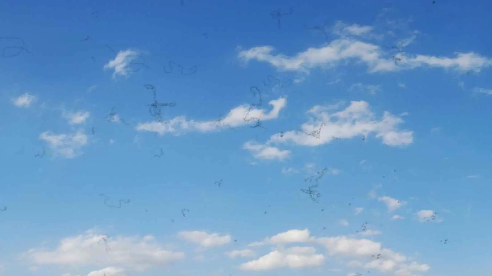 ما علاقة المكملات الغذائية بـ"عوائم العين"؟