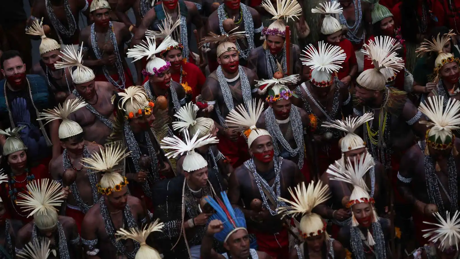 السكان الأصليون يدافعون عن غابات الأمازون في برازيليا (فيديو)