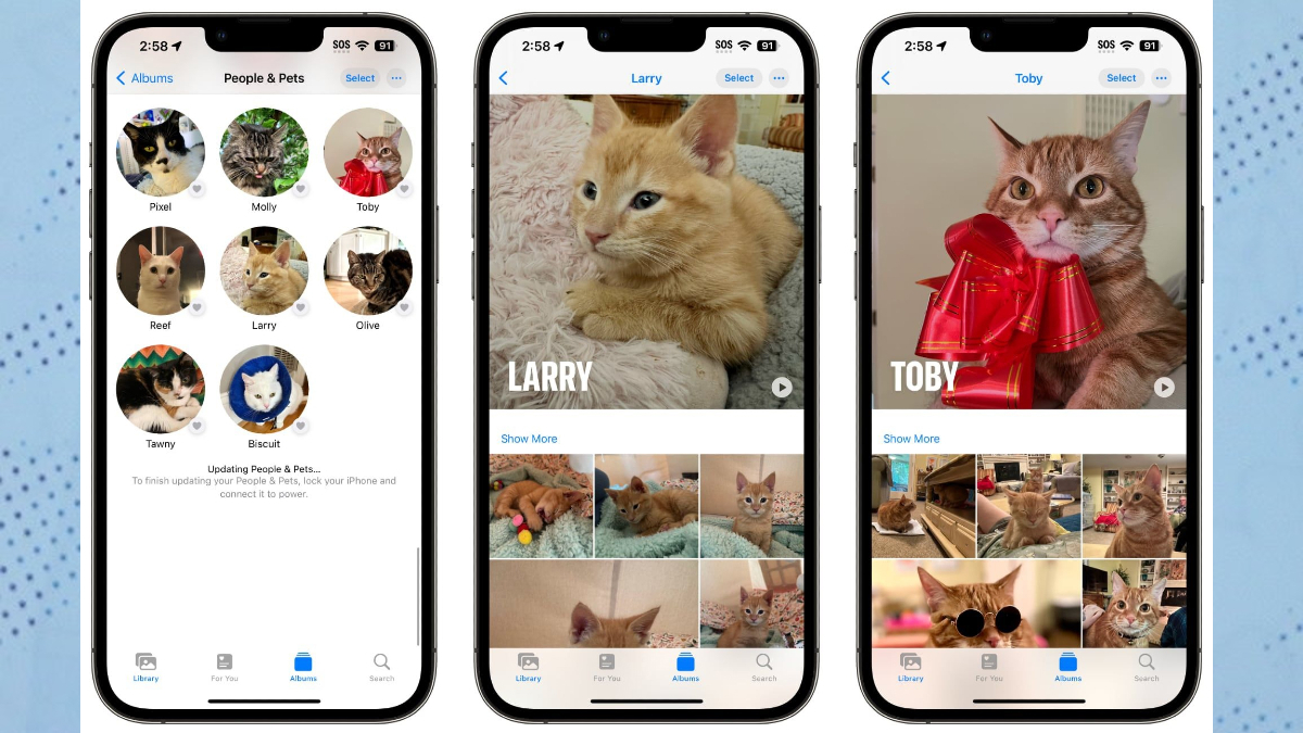 تطبيق الصور في iOS 17 لهواتف آيفون يأتي بميزة ممتعة
