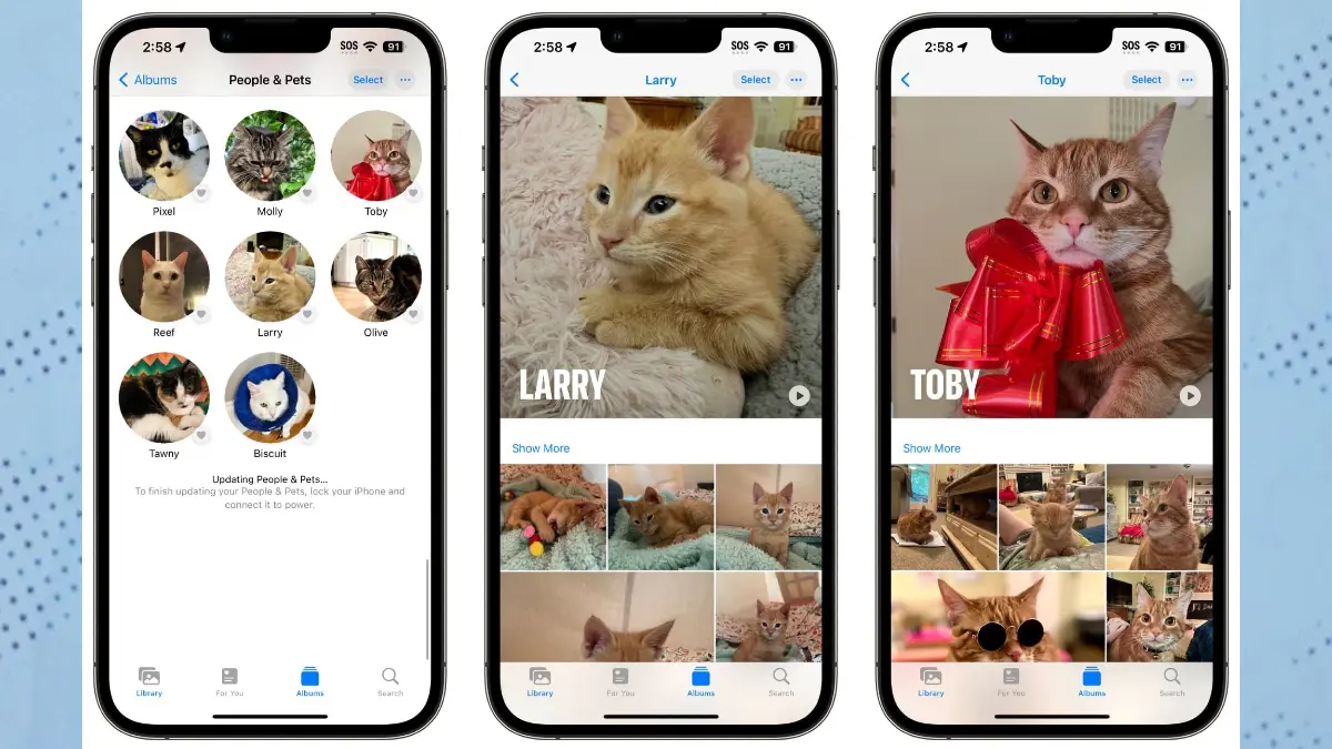 تطبيق الصور في iOS 17 لهواتف آيفون يأتي بميزة ممتعة