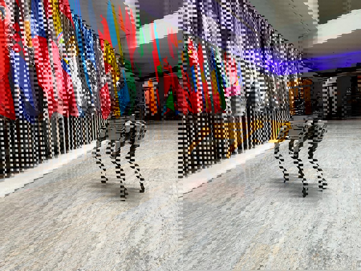 الذكاء الاصطناعي.. مشكلة أم حل؟!