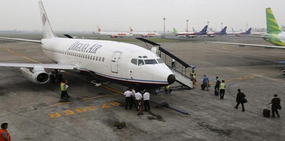نحلة تؤخر إقلاع طائرة إندونيسية أربع ساعات