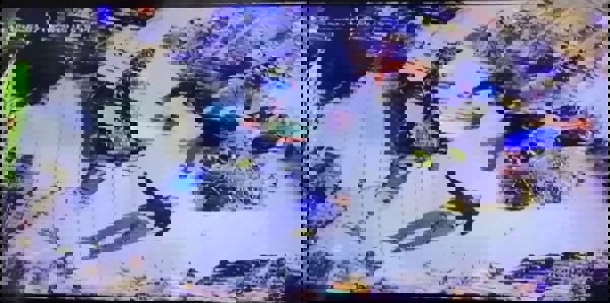 4 حالات في شهر.. تحرك برلماني بشأن الاعتداءات المتكررة على المصريين في الخارج