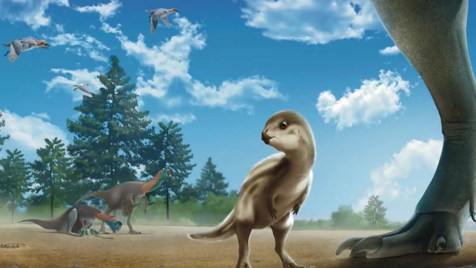 بحجم كلب صغير.. اكتشاف نوع جديد من الديناصورات في كوريا الجنوبية